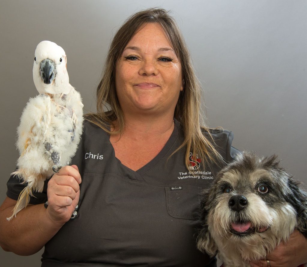 Pet Grooming • Scottsdale Veterinary Clinic (Arizona)