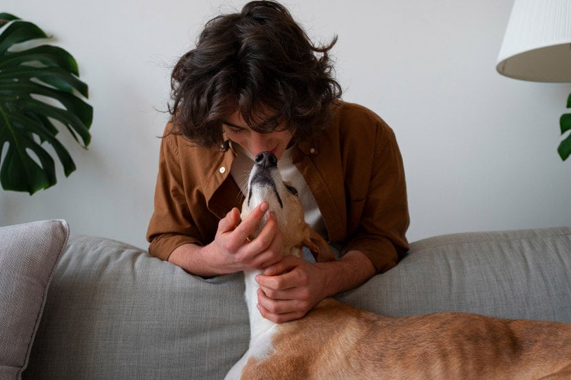 Anxious Pet in Scottsdale Anxious Pet in Scottsdale