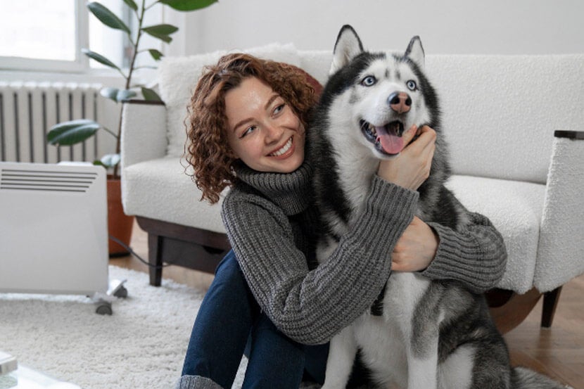 Pet Strangers in Scottsdale Pet Strangers in Scottsdale