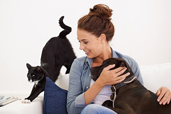 Pet Spaying in Scottsdale Pet Spaying in Scottsdale