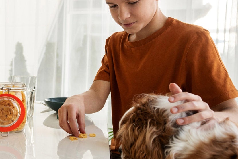 Human Food Human Food