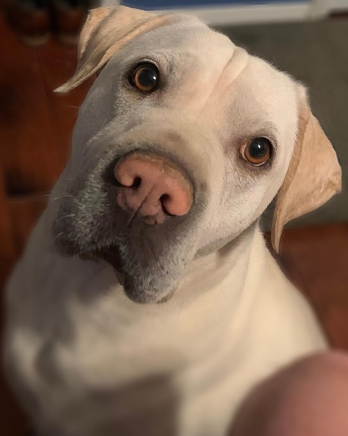 Baxter Baxter