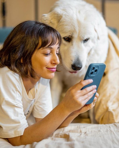 Pet wellness plans icon for Scottsdale, AZ pet owners