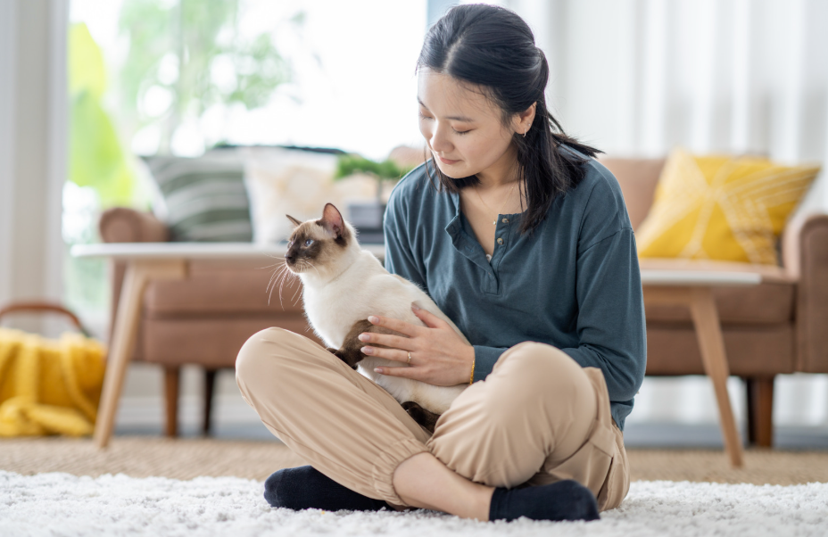 10 Common Household Items That Are Surprisingly Toxic to Pets
