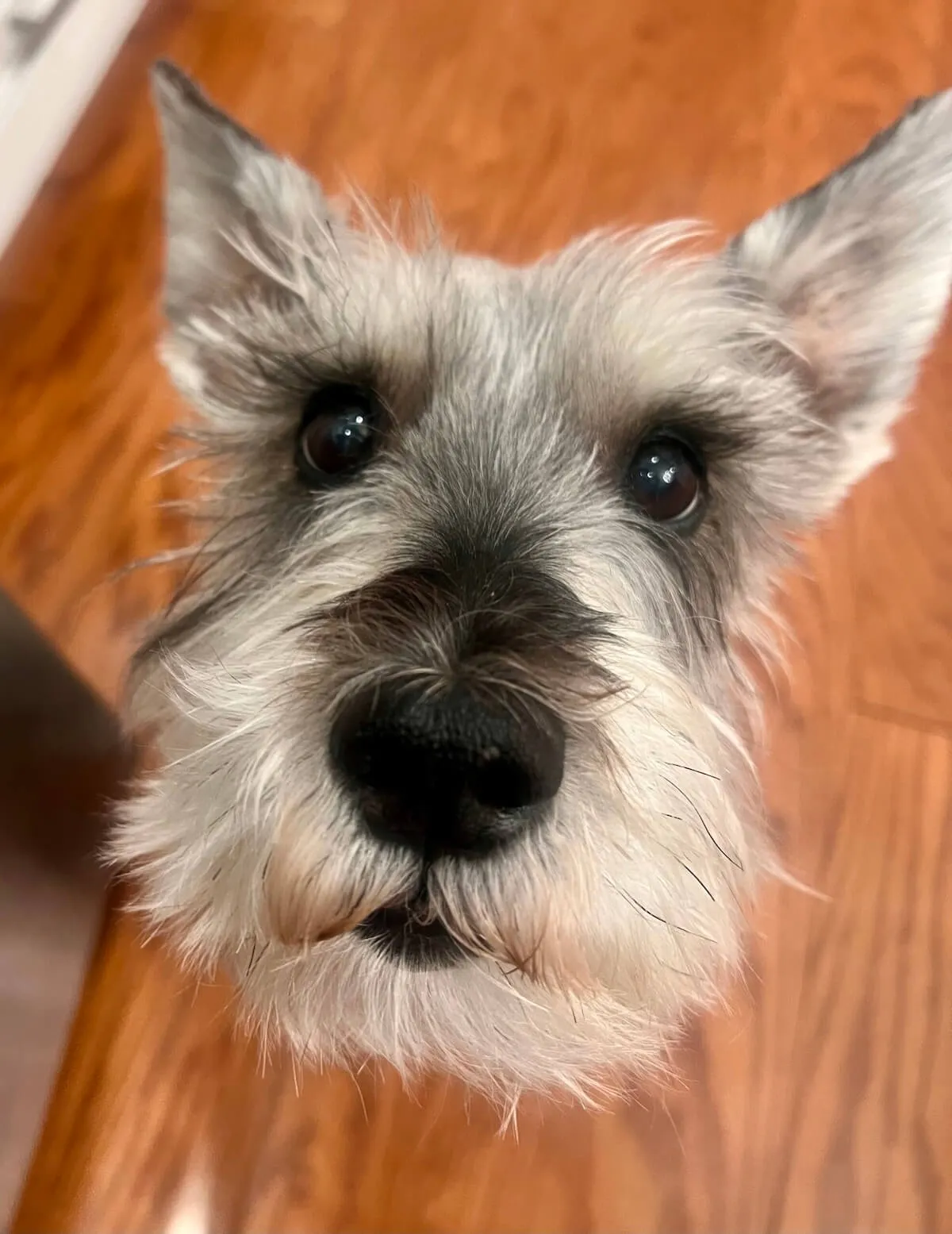 Charlie