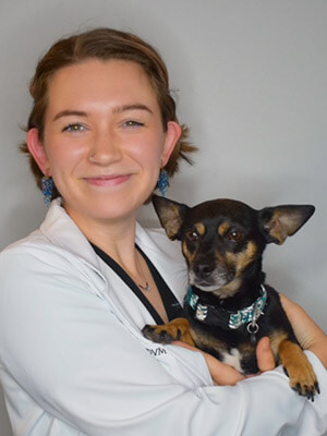 Pet Acupuncture