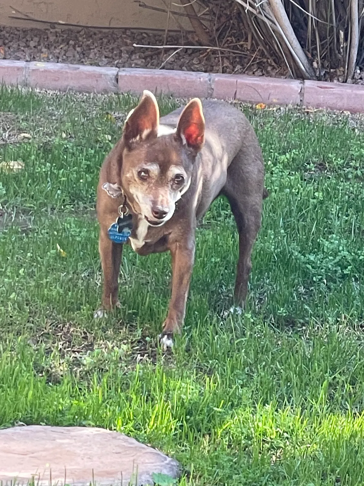 Riley