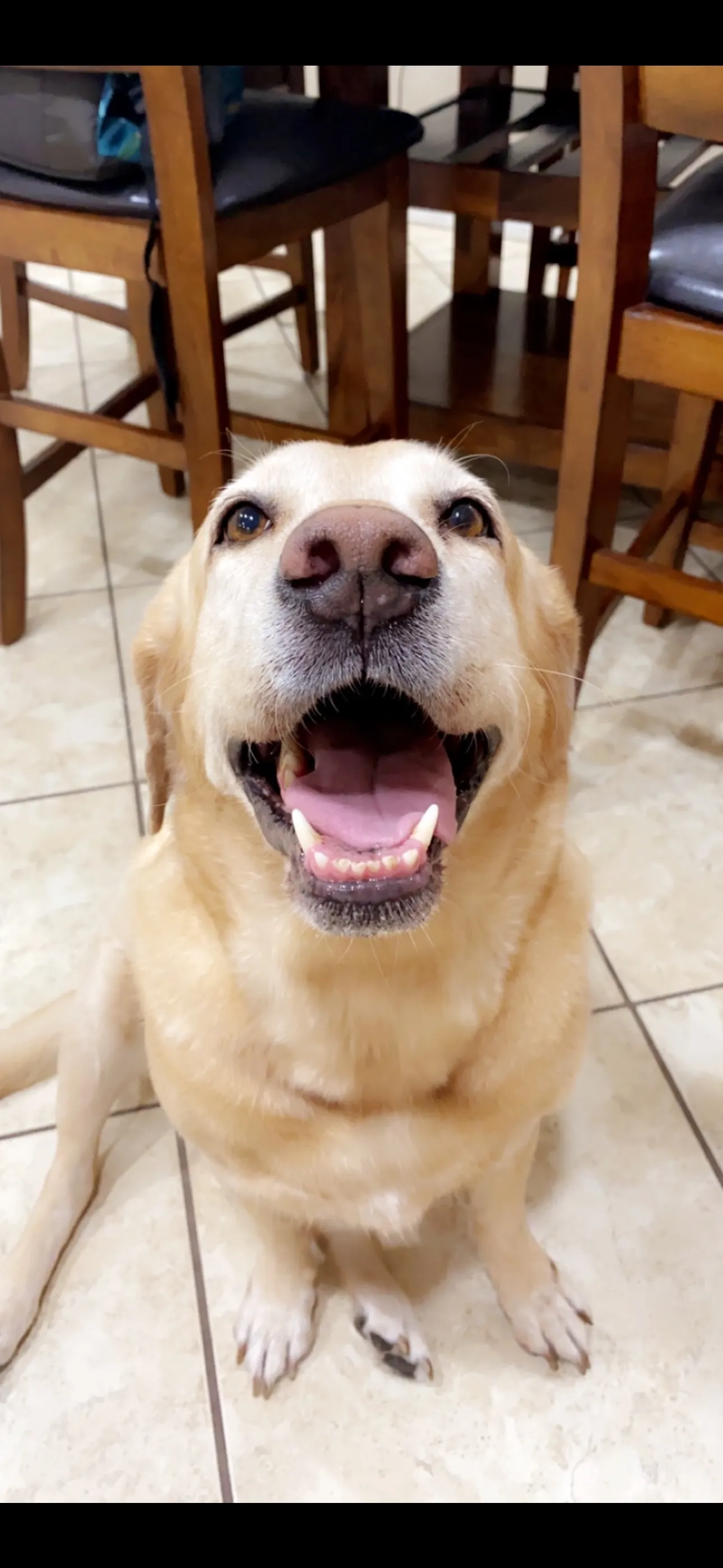 Goldie