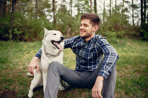 The Advantages Of Neutering Your Male Pet