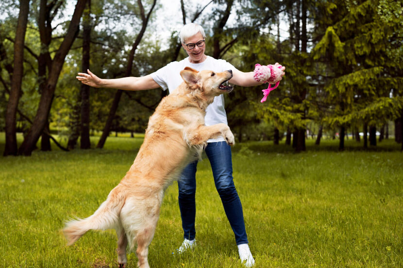 How To Stop Your Dog From Jumping On People: Effective Training Tips