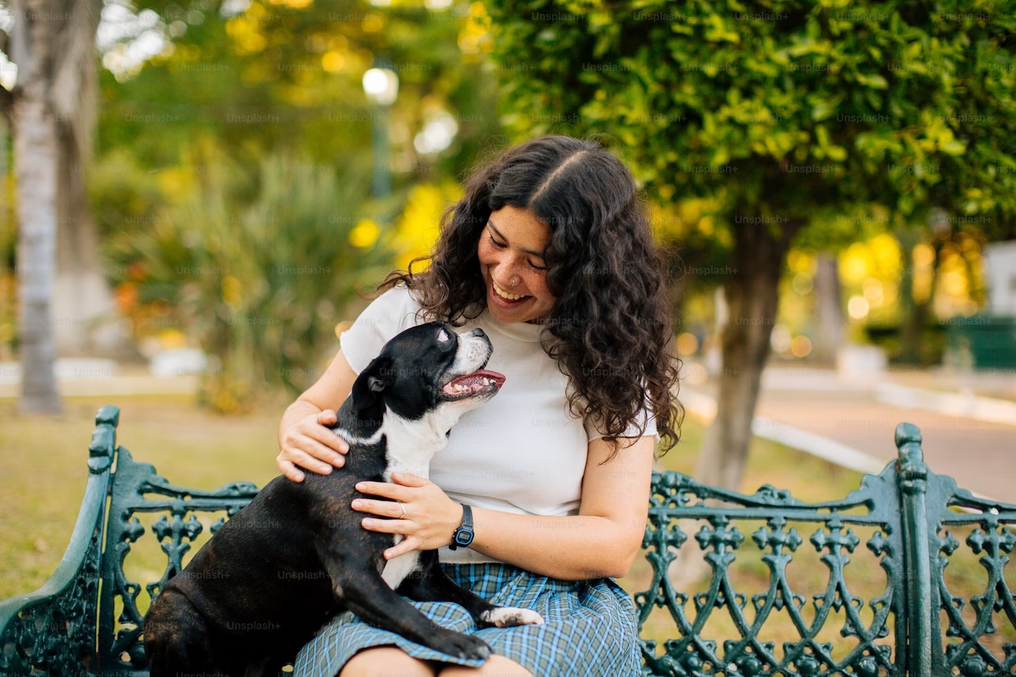Is Your Dog’s Poop Healthy? Here’s How to Tell