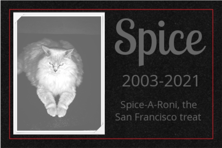 Remembering Spice