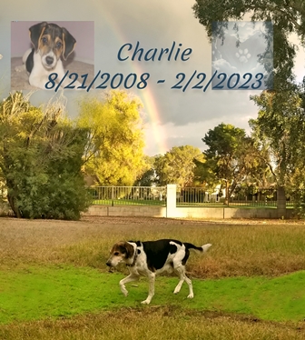 Remembering Charlie