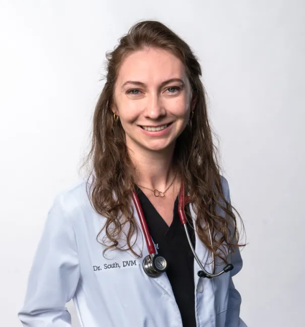 Dr. Jessica South